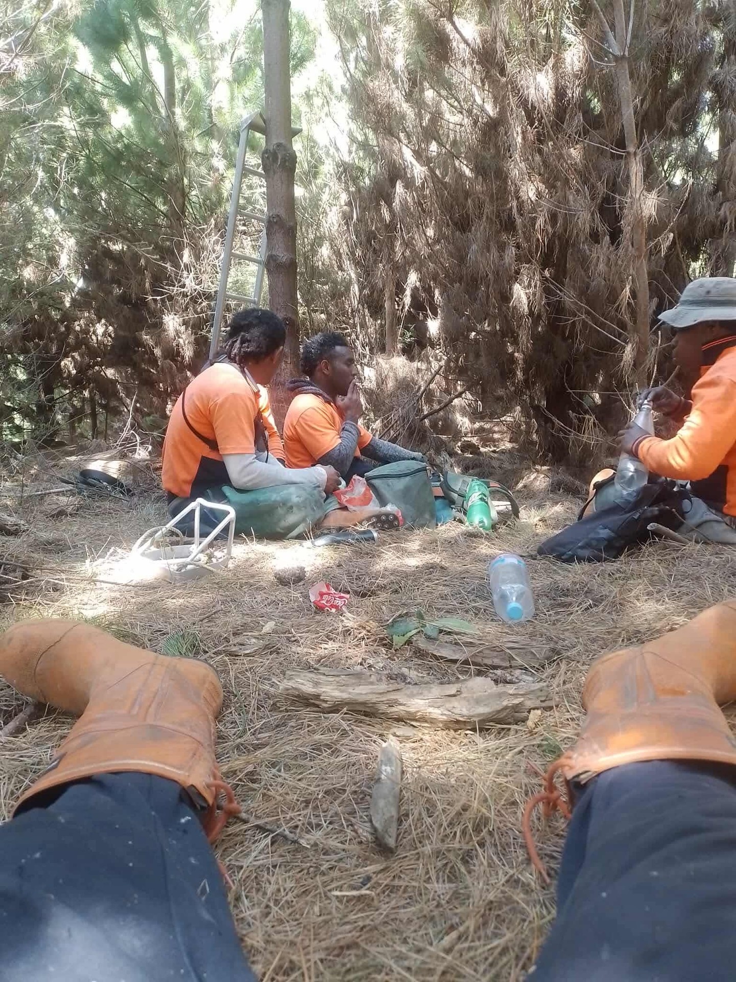 Smoko break on the forest floor