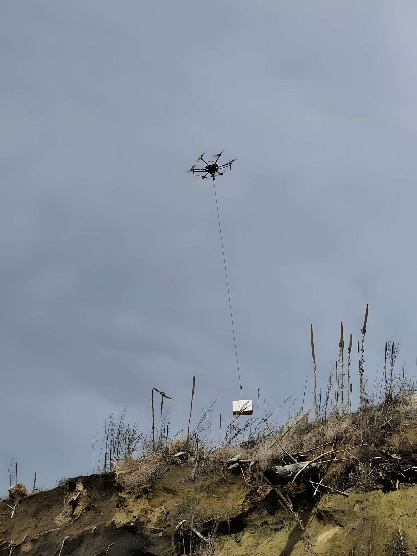 Drone flying over a cut-over block