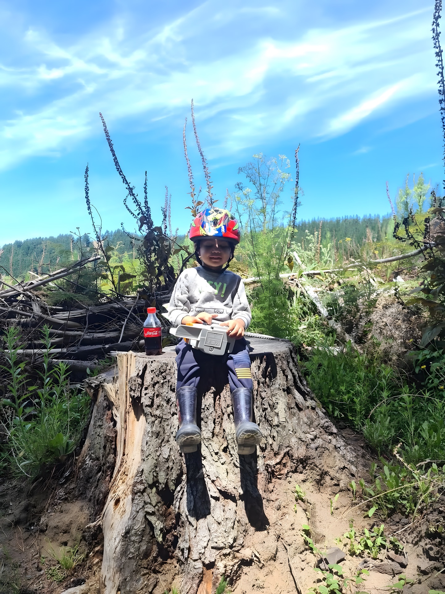An FM Silvi crew member with a chainsaw on a thinning block